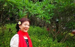 海卓手机加速器